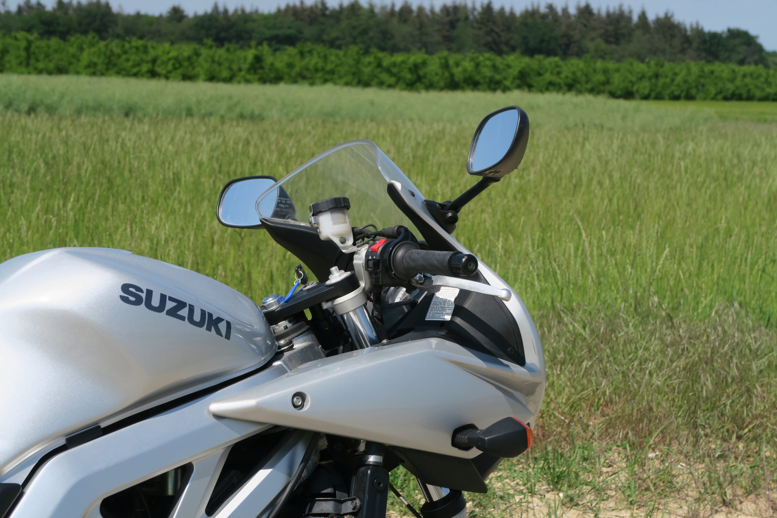 Suzuki SV 650 BJ 2003 - letzte Bilder