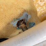 Whirlpool Rost an den Düsen - Atlanta von Perfect Spa - Update Whirlpool Rost an den Düsen