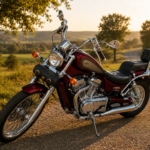 Suzuki VS 800 Intruder